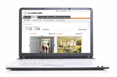 Online Security Monitoring Remote Access